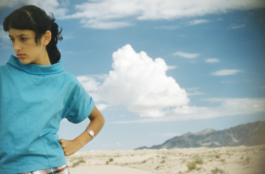 Festival di novembre: viaggi pop