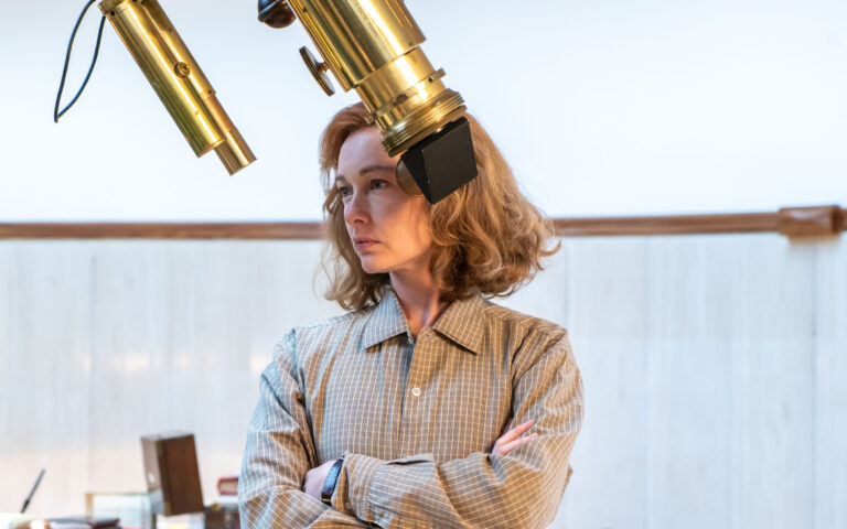 Margherita delle stelle Margherita delle stelle