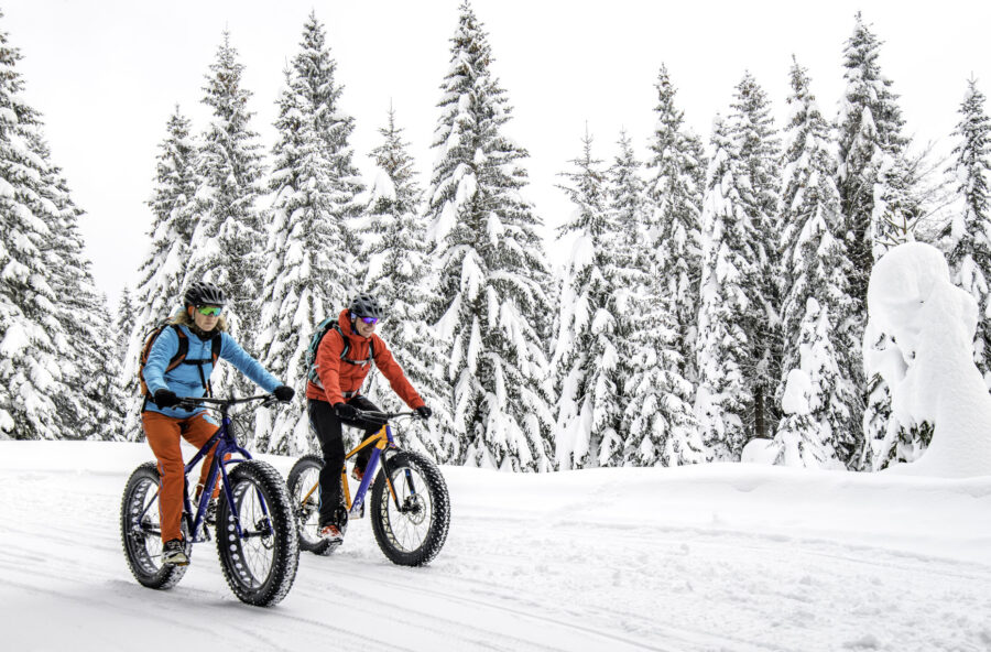 Fat Bike: sulla neve in bicicletta