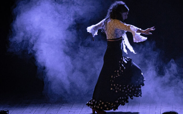 FLAMENCO FLAMENCO