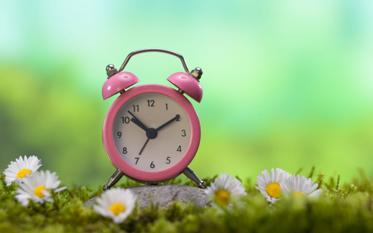 Springtime - Saving Summer Concept. Pink alarm clock on forest moss.