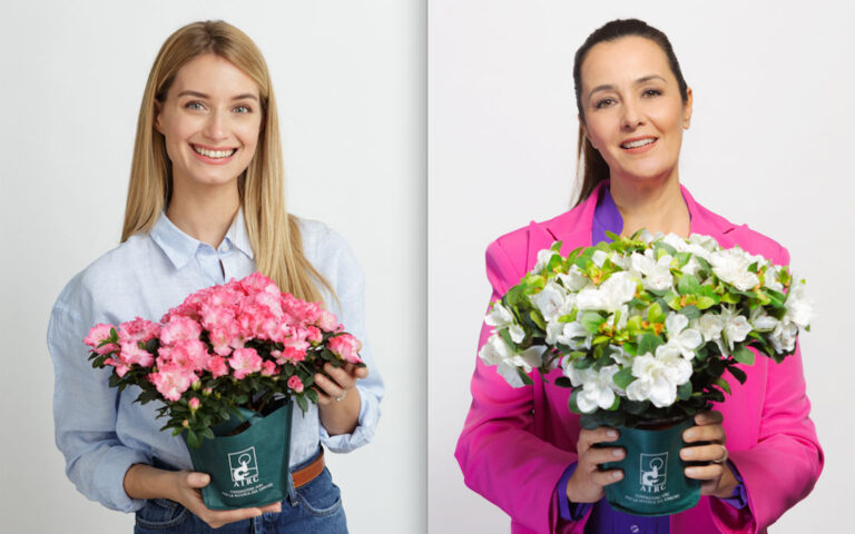 azalea ricerca airc azalea ricerca airc