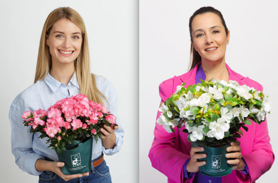 Festa della mamma 2024: regala un’azalea, così aiuti la ricerca