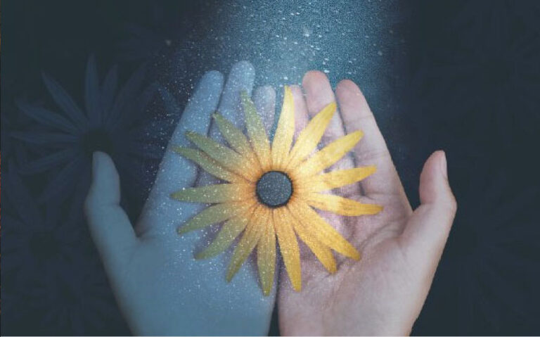 Nel buio le stelle