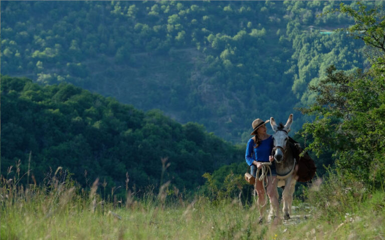 Io, lui, lei e l'asino Io, lui, lei e l'asino