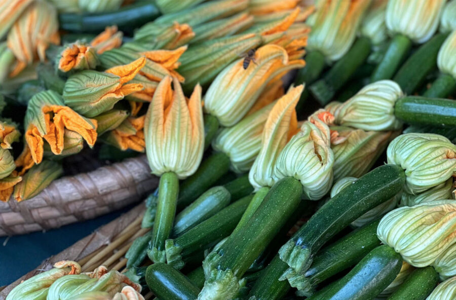 Zucchine per chi è a dieta: sono drenanti, riattivano il metabolismo, calmano la fame