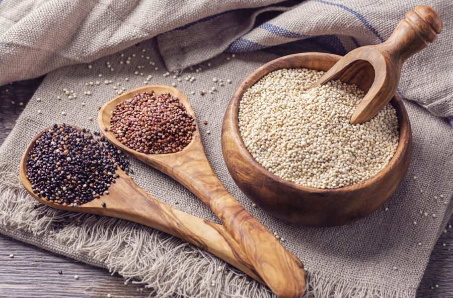 La dieta del rientro