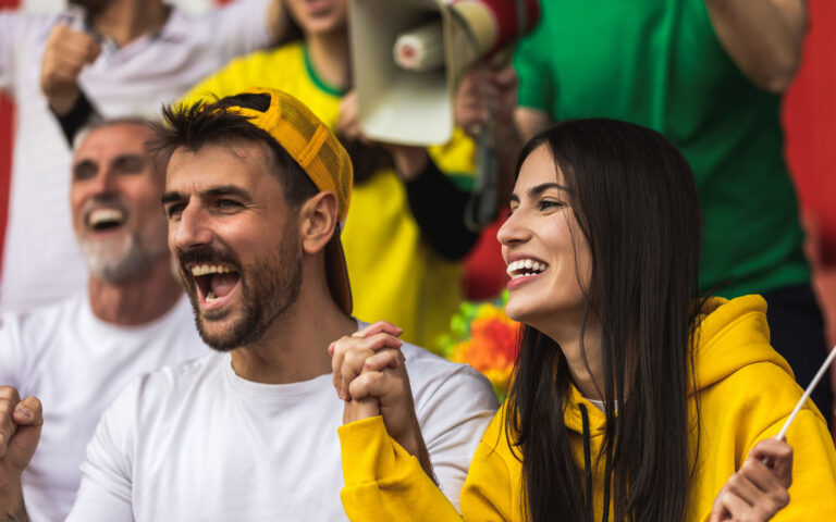 German football / soccer fans cheering at the stadium with flags and other equipment