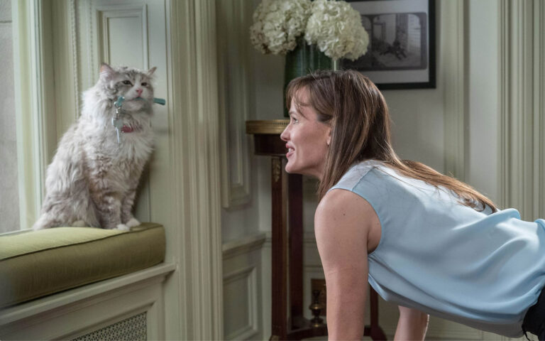 Una vita da gatto Una vita da gatto