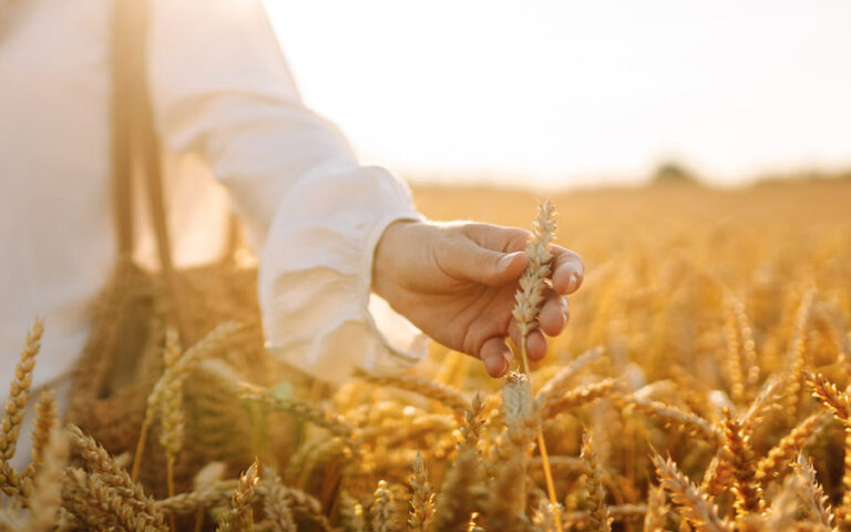 celiachia o sensibilità al glutine?