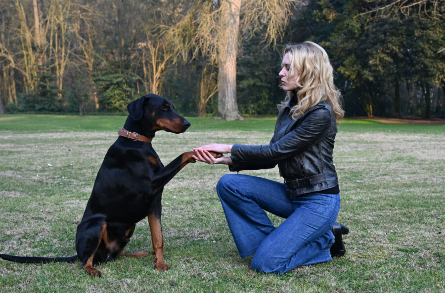 Cinema: vieni a scoprire i film in sala dall’8 maggio Cinema: vieni a scoprire i film in sala dall’8 maggio