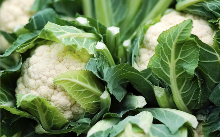 cavolfiore cibo medicina cavolfiore cibo medicina