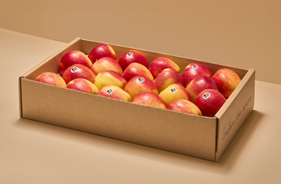 Riapre la Saporeria!