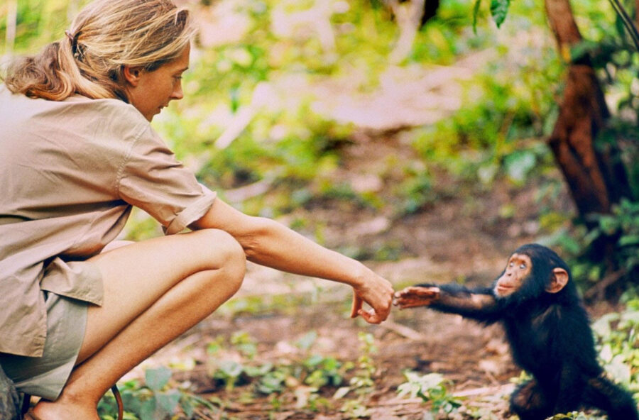 Film in tv nel weekend: in chiaro, su satellite e in streaming