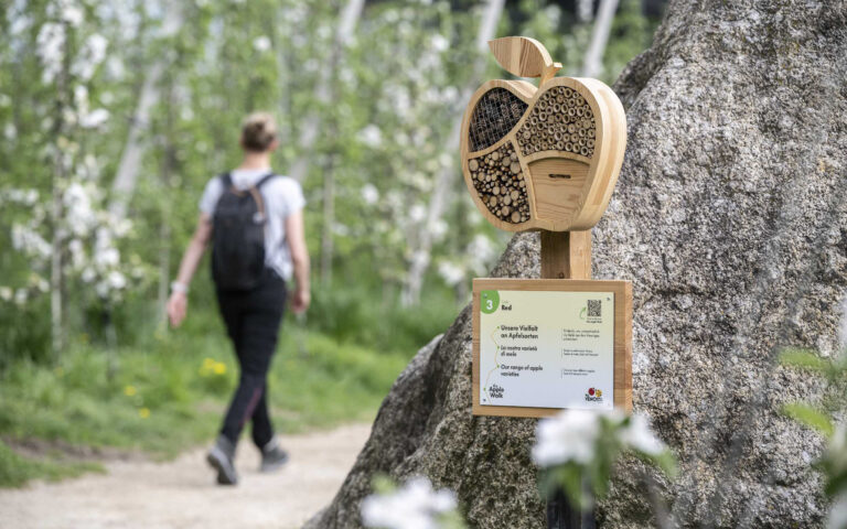 The Apple Walk_ The Apple Walk_