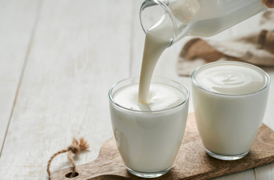 Yogurt di capra per dare lo sprint all’intestino