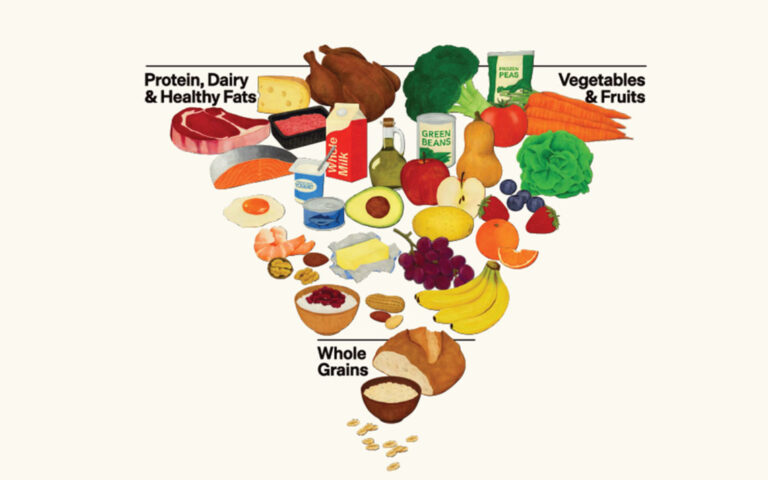 nuova piramide alimentare americana