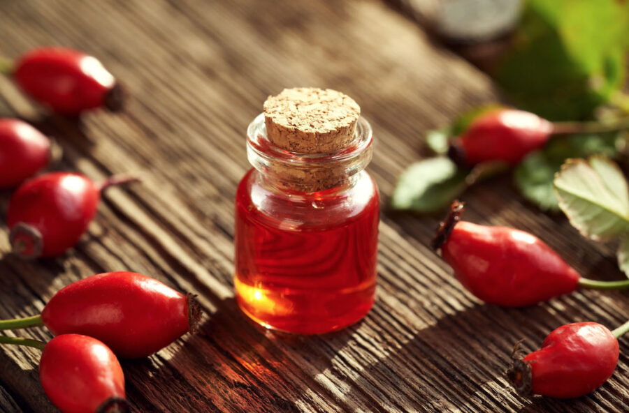 Rosa Canina, la tua alleata per un inverno in bellezza