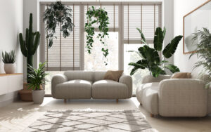 Piante antismog per difendere la tua casa. E il tuo benessere