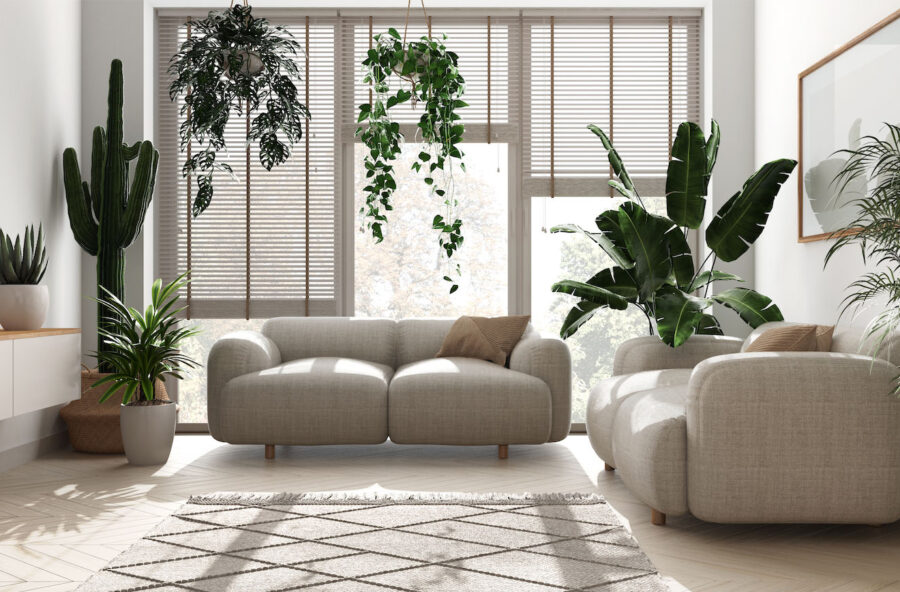 Piante antismog per difendere la tua casa. E il tuo benessere