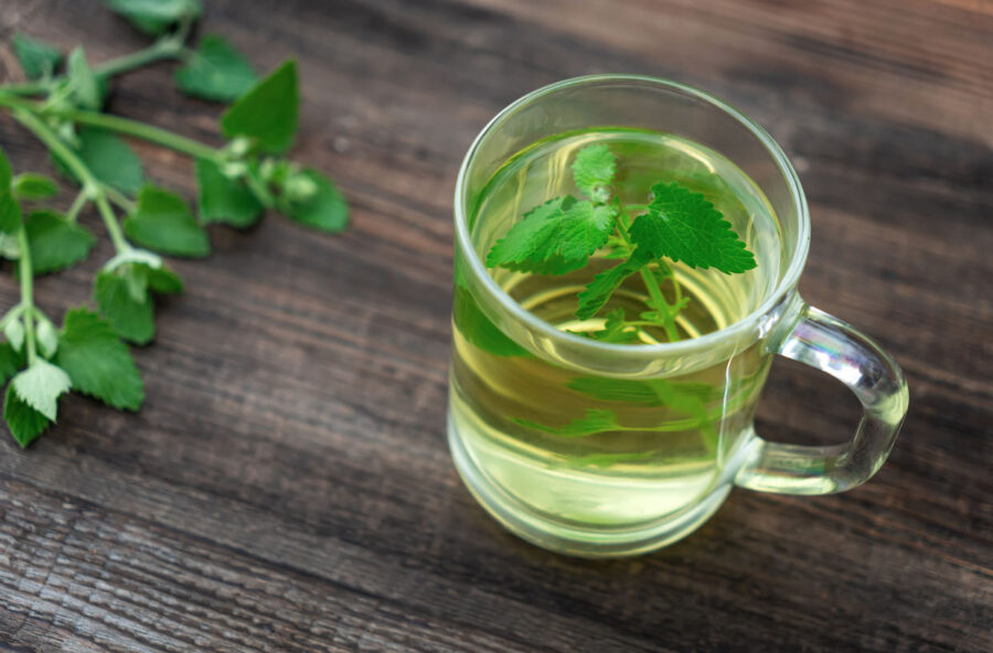 Melissa contro i disturbi del ciclo