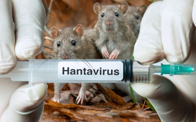 Hantavirus Hantavirus