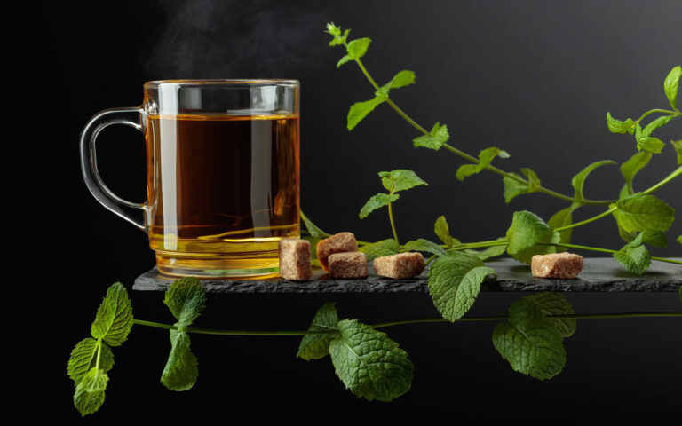 menta menta