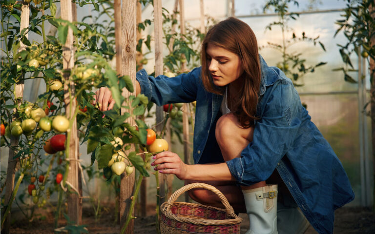 pomodori cura di bellezza