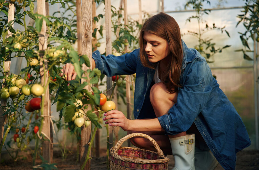 Pomodoro, il tuo cosmetico naturale per pelle e capelli luminosi