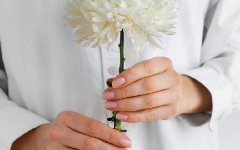 hand-holding-elegant-flower hand-holding-elegant-flower