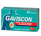 GAVISCON 24CPR FRAG250+133,5MG