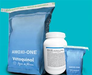 AMOXIONE OS POLV BARATTOLO 1KG