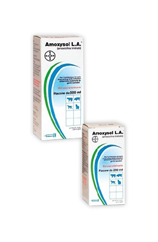 AMOXYSOL LA INIET FL 250ML