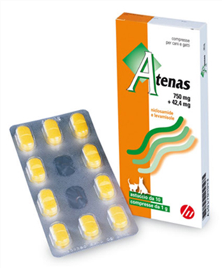 ATENAS COMPRESSE 10CPR 1G