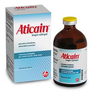 ATICAIN INIET FL 100ML
