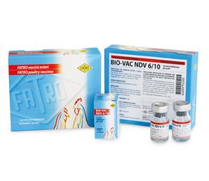 BIOVAC NDV 6/10 10FL 1000D