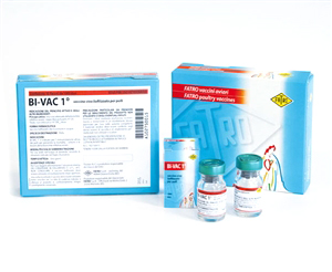 BIVAC I OS 10FL 1000D BIVAC I OS 10FL 1000D