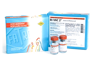 BIVAC II OS 10FL 1000D BIVAC II OS 10FL 1000D