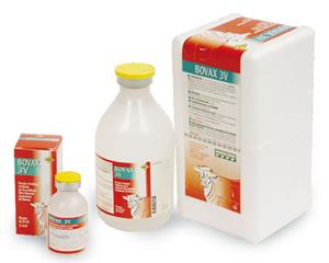 BOVAX 3V SC FL 250ML 50D BOVAX 3V SC FL 250ML 50D