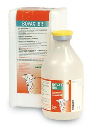 BOVAX IBR SC FL 250ML 50D