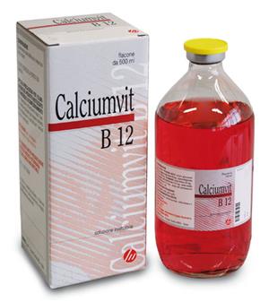 CALCIUMVIT B12 FL VT 500ML