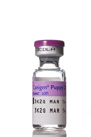 CANIGEN PUPPY 2B 10FL 1ML