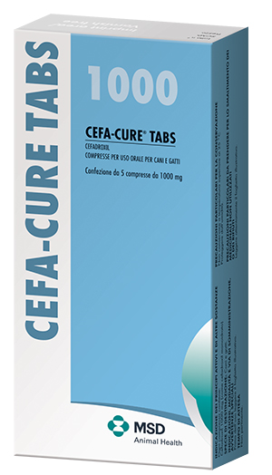 CEFACURE TABS 5CPR 1G