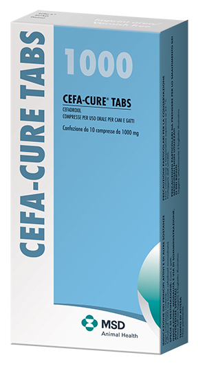 CEFACURE TABS 10CPR 1G