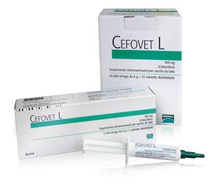 CEFOVET L 10SIR 6G+10SALVIET