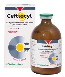 CEFTIOCYL INIET FL 100ML CEFTIOCYL INIET FL 100ML