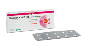 CLAVASEPTIN 10CPR 62,5MG