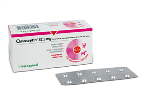 CLAVASEPTIN 100CPR 62,5MG
