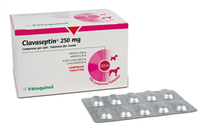 CLAVASEPTIN 100CPR 250MG