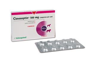 CLAVASEPTIN 10CPR 500MG